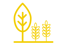 Yellow outline of a large tree and two smaller plants